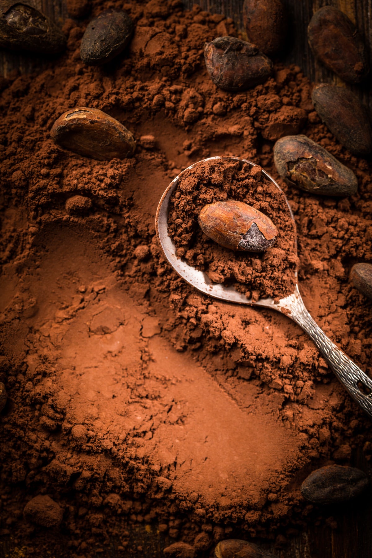Choco Spring About Cacao Springs | Artisanal Chocolate Brand – Cacaosprings